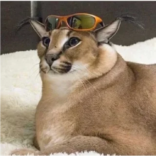 Sticker Floppa1_by_KOTIN - 11