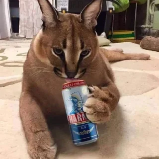 Sticker Floppa1_by_KOTIN - 1