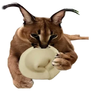 Sticker Такой разный Шлёпа @Karim_i_to4ka и @Akira0992 - 2