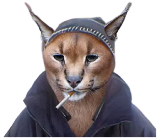 Sticker Такой разный Шлёпа @Karim_i_to4ka и @Akira0992 - 11