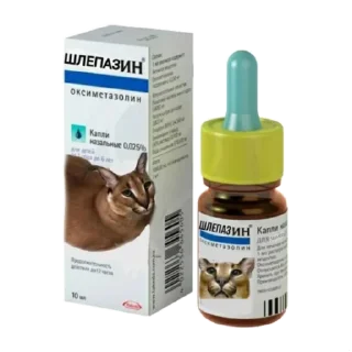 Sticker Такой разный Шлёпа @Karim_i_to4ka и @Akira0992 - 1