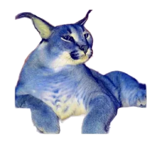 Sticker Такой разный Шлёпа @Karim_i_to4ka и @Akira0992 - 7