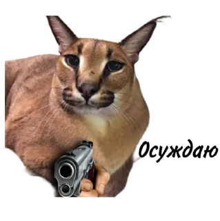 Sticker Такой разный Шлёпа @Karim_i_to4ka и @Akira0992 - 5