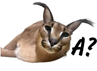 Sticker Такой разный Шлёпа @Karim_i_to4ka и @Akira0992 - 9