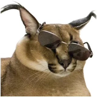 Sticker Такой разный Шлёпа @Karim_i_to4ka и @Akira0992 - 4