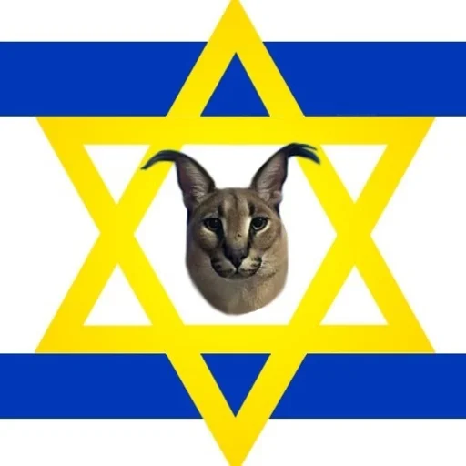 cat domestic cat small to medium-sized cats