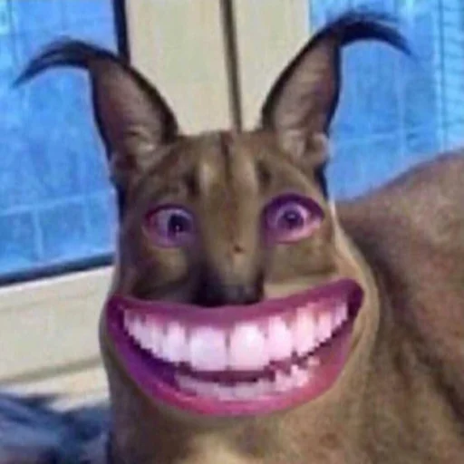 животное млекопитающее кошка