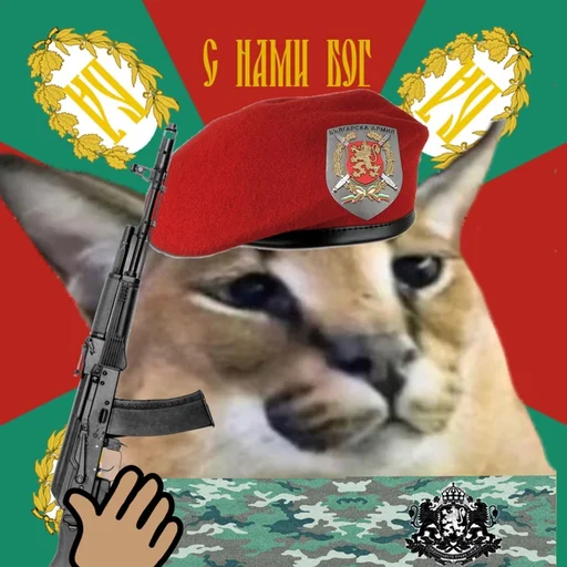 мультфильм животное млекопитающее