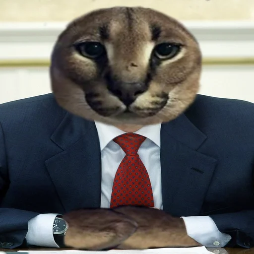 Человек воротник галстук