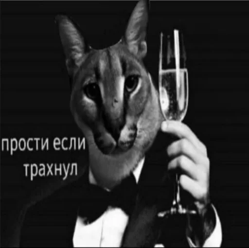 животное кошка усы