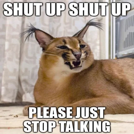 животное кошка млекопитающее