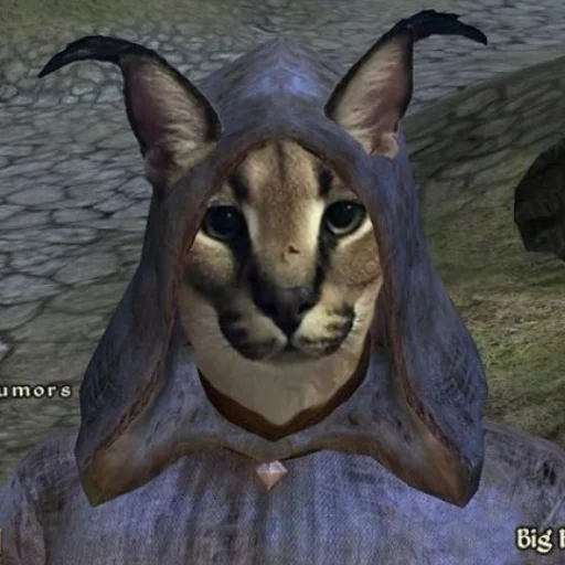 животное кошка млекопитающее