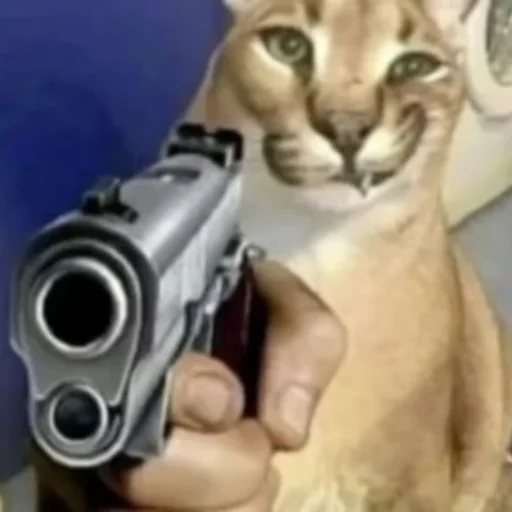 felidae animal whiskers