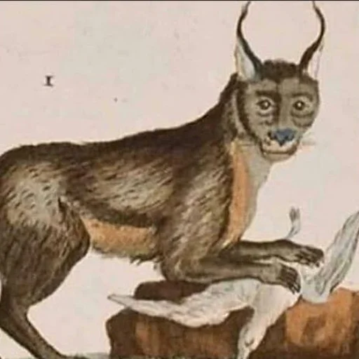 животное эскиз млекопитающее