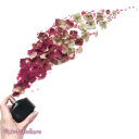 Sticker flowers 🌸@pinkstickers🌸 - 11