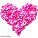 Sticker flowers 🌸@pinkstickers🌸 - 8