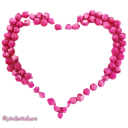 Sticker flowers 🌸@pinkstickers🌸 - 6