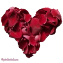 Sticker flowers 🌸@pinkstickers🌸 - 7