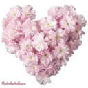 Sticker flowers 🌸@pinkstickers🌸 - 10