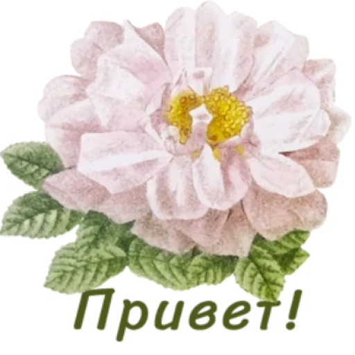 Sticker flowersok_by_MoiStikiBot - 1