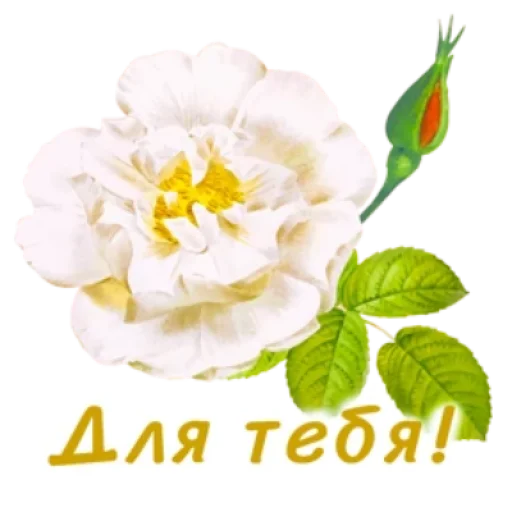 Sticker flowersok_by_MoiStikiBot - 1