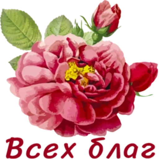 Sticker flowersok_by_MoiStikiBot - 1
