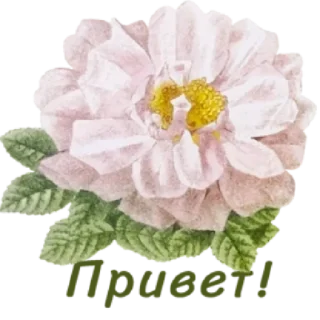 Sticker 🌸 Весенние пожелания @MoiStikiBot - 11