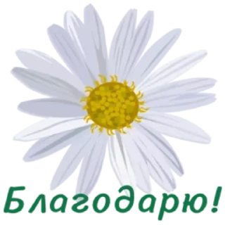 Sticker 🌸 Весенние пожелания @MoiStikiBot - 9