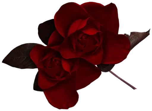 Sticker цветочки @stickerus - 5