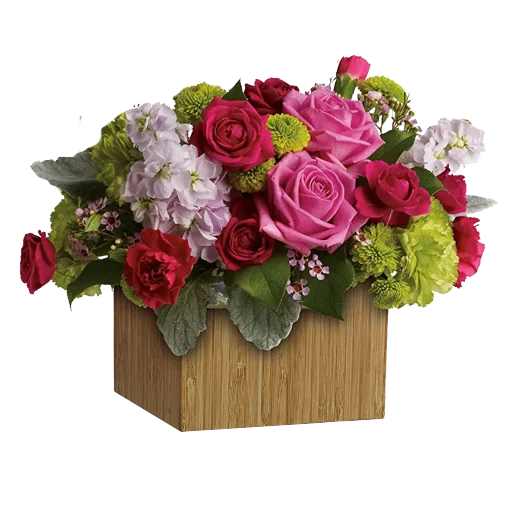 роза цветок срезанные цветы