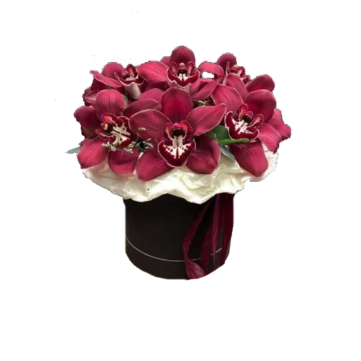 цветок растение лепесток