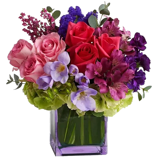 цветок Флористика лепесток