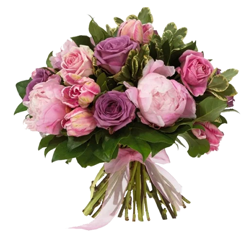 растение цветок лепесток