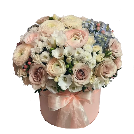 растение цветок срезанные цветы