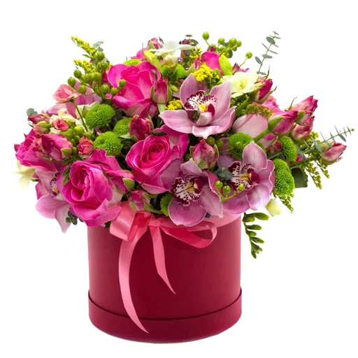 цветок растение лепесток