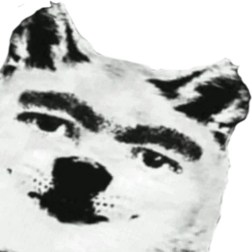 черно-белый животное искусство