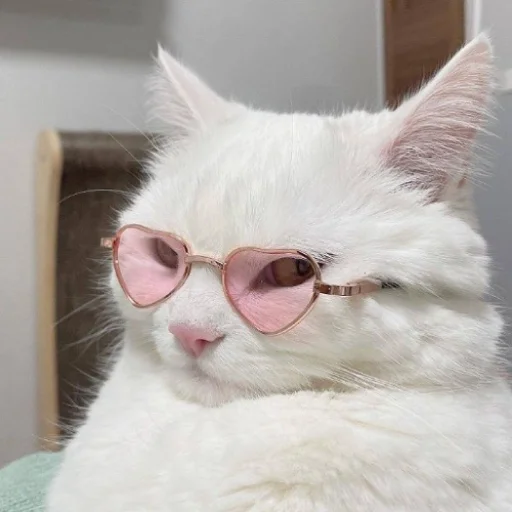 fluffy 🚑 @victimofanxiety - 