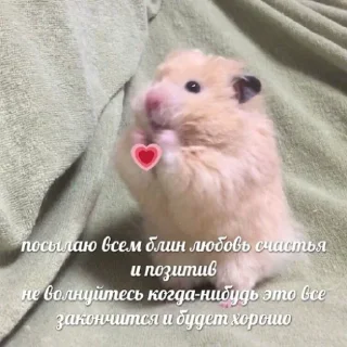 Стикер fluffy 🚑 @victimofanxiety - 5