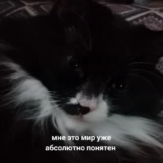 Стикер fluffy 🚑 @victimofanxiety - 10
