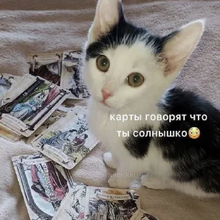 Стикер fluffy 🚑 @victimofanxiety - 8