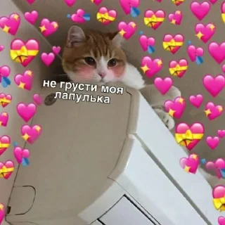 Стикер fluffy 🚑 @victimofanxiety - 6