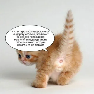 Стикер fluffy 🚑 @victimofanxiety - 4