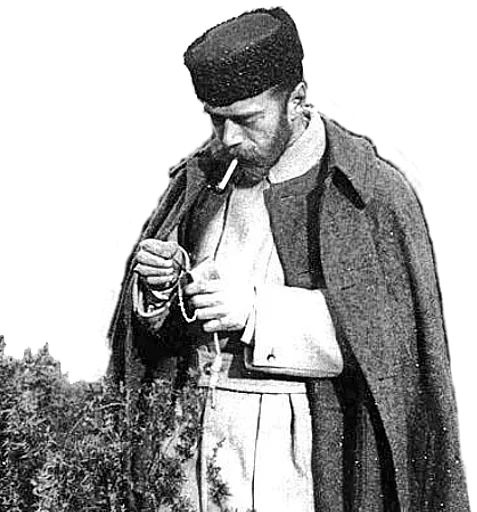 Sticker fluttershytea - 1