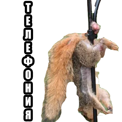 Sticker fnvadmin - 1