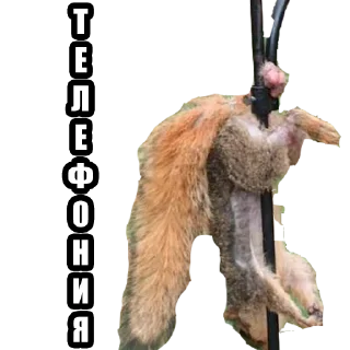 Sticker ADMINI~1 - 11