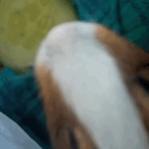 Sticker фомочка - 11