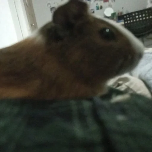 Sticker фомочка - 4