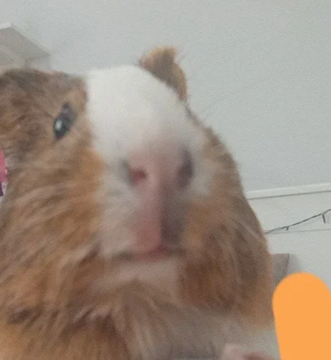 Sticker фомочка - 3