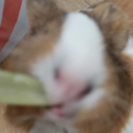 Sticker фомочка - 1