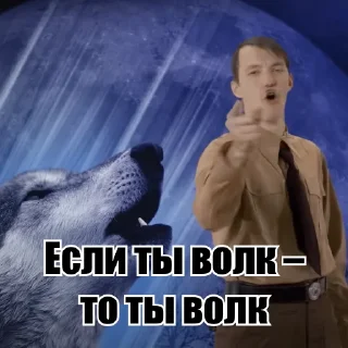 Sticker Фон Стасон Герр Кринге - 7